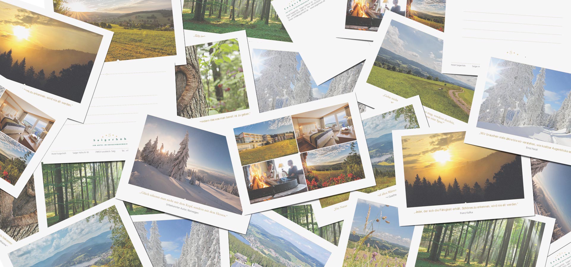 Mehrere Postkartenansichten im Corporate Design vom Hotel Saigerhöh übereinander verteilt